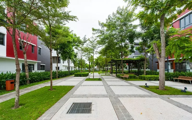 Liền kề Camelia Homes ST4