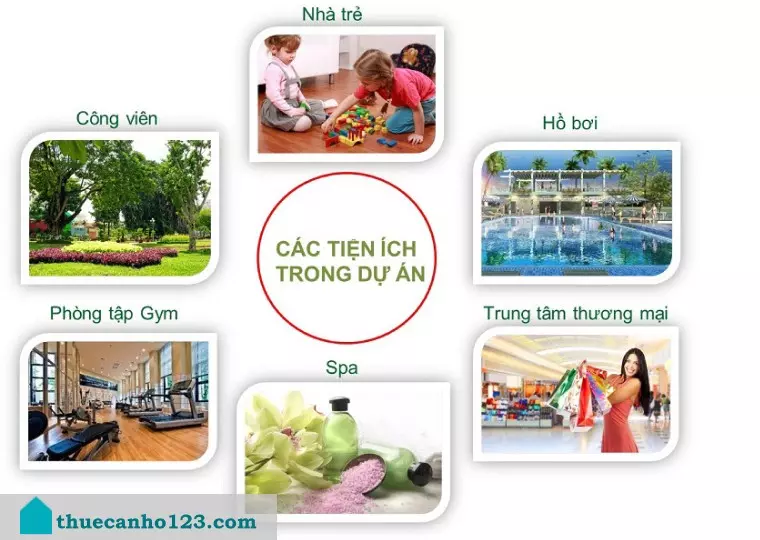 Tìm nơi cho thuê chung cư Imperia Garden giá rẻ