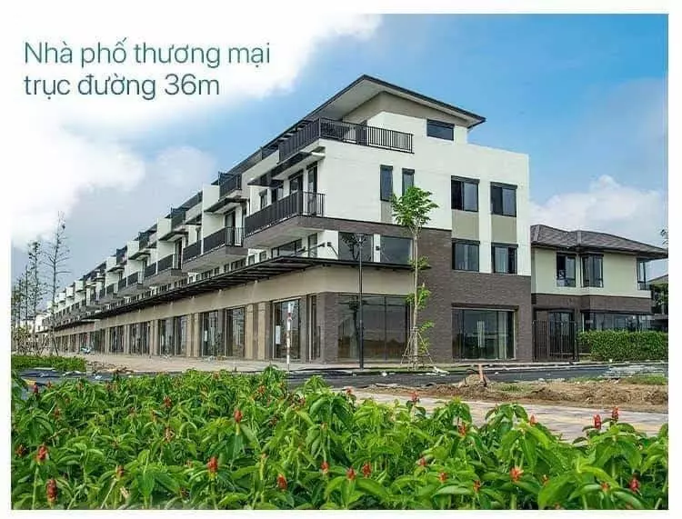 Shophouse 36m