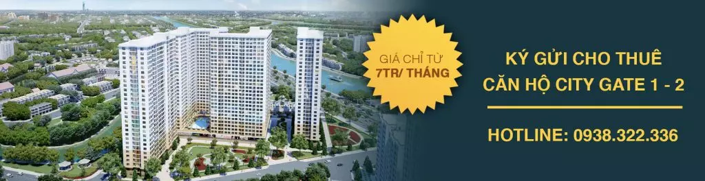 cho thuê căn hộ Diamond Riverside