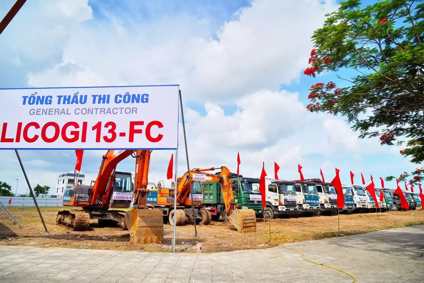 hình ảnh minh họa Evergreen Tràng Duệ