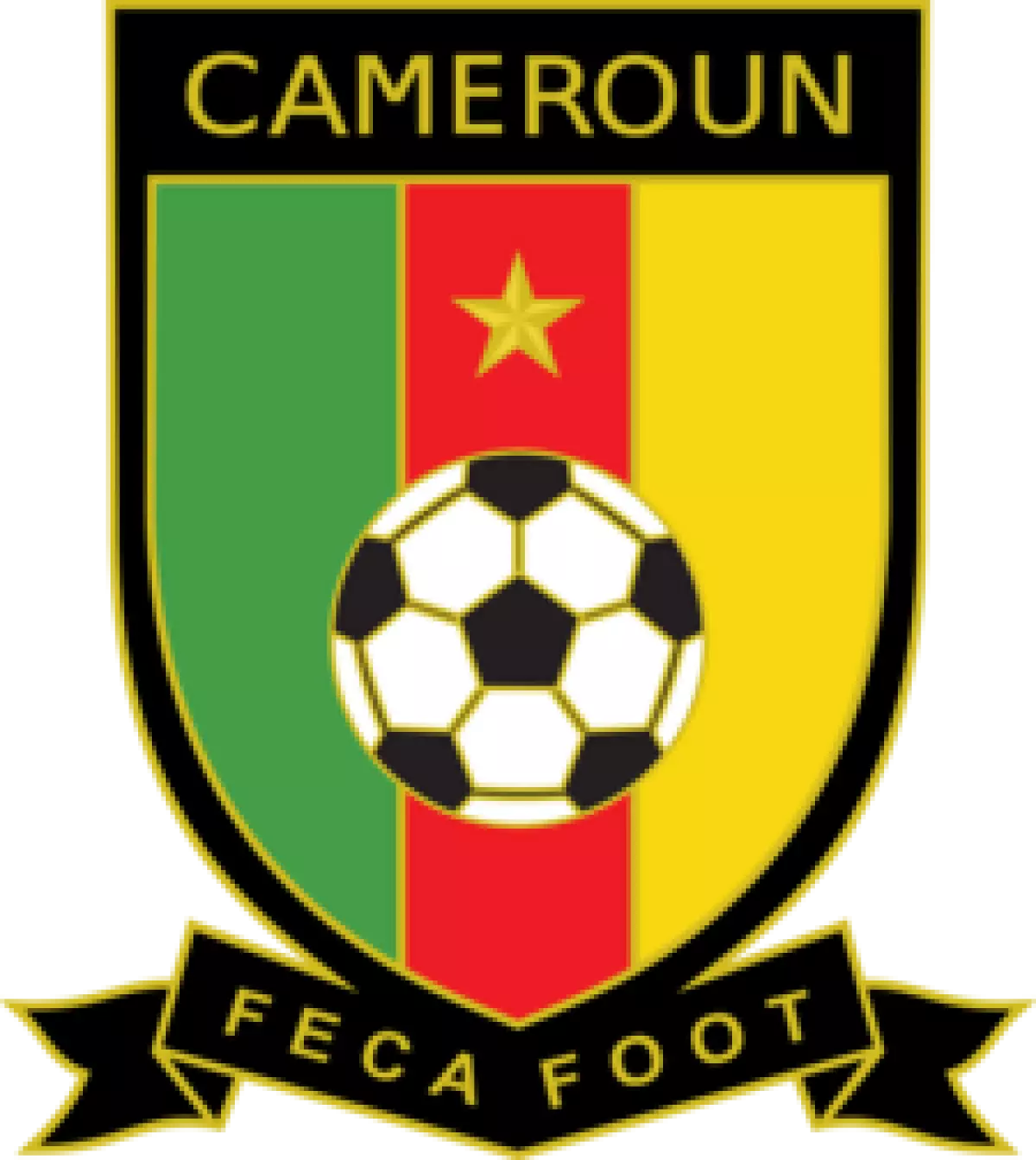 Cameroonian Football Federation