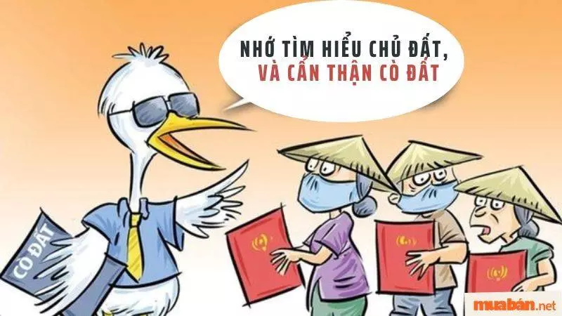 Ưu, nhược điểm của việc mua đất giá 150 triệu