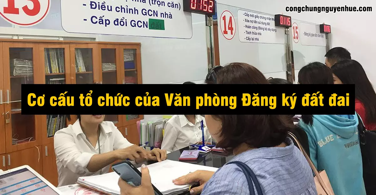 Cơ cấu tổ chức của Văn phòng Đăng ký đất đai tại Hà Nội