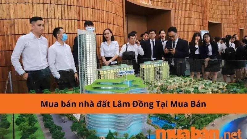 Mua bán nhà đất Lâm Đồng tại Muaban.net