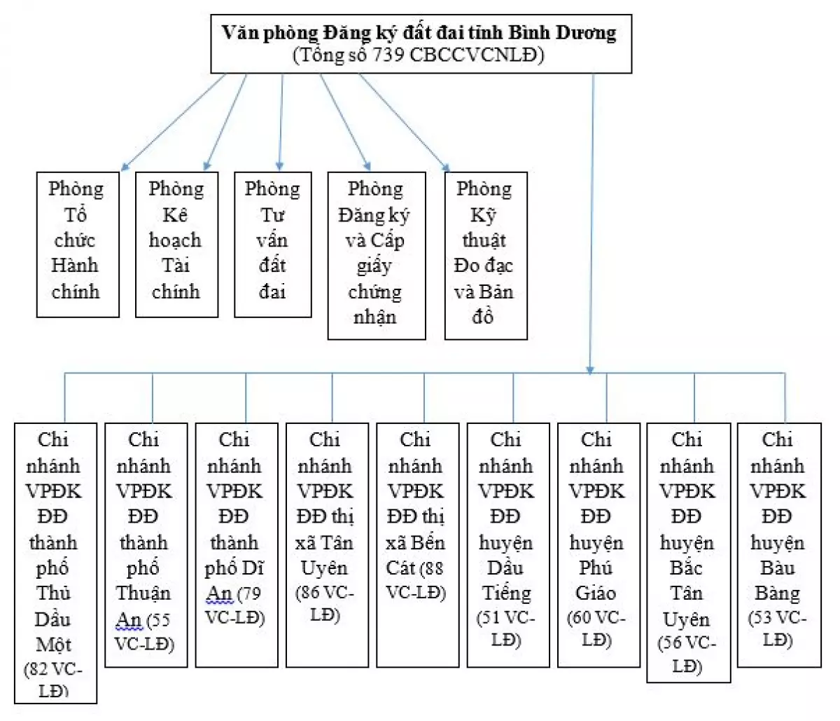 Sơ đồ các phòng, chi nhánh trực thuộc và nhân sự