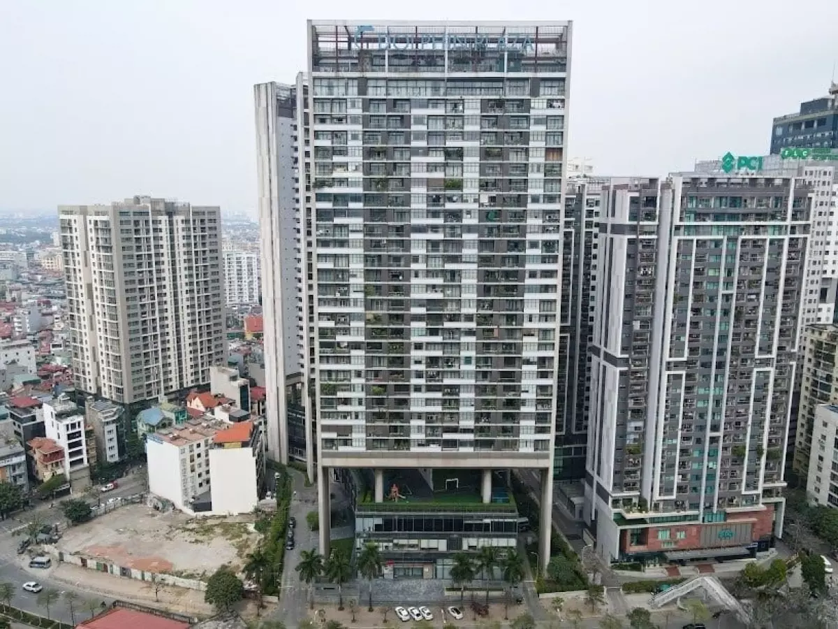 co-nen-mua-chung-cu-dolphin-plaza-khong-onehousing-1