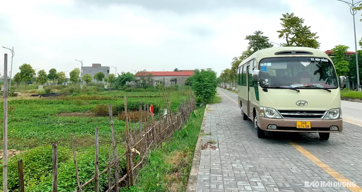 30 lô đất ở trên địa bàn phường Tân Hưng thuộc phạm vi giải phóng mặt bằng dự án Tân Phú Hưng đến nay vẫn đang vướng mắc