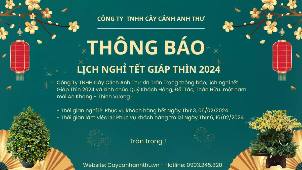 banner tết 2024 - Cây cảnh Anh Thư