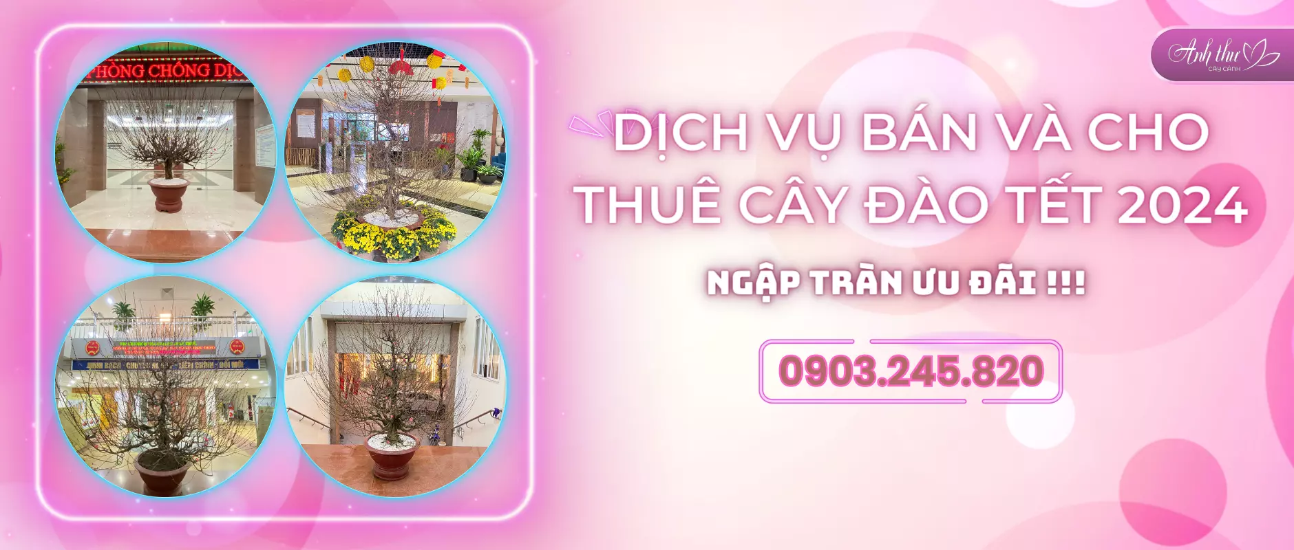 banner cay canh san vuon 05