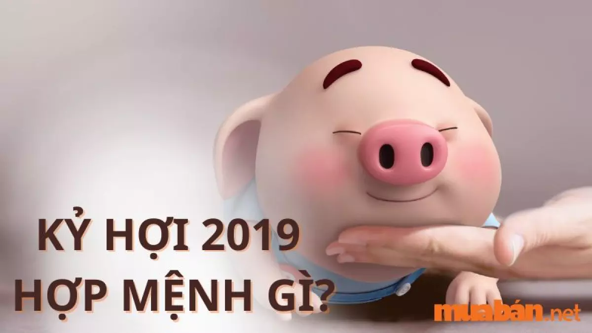 Tuổi Kỷ Hợi Sinh Năm 2019