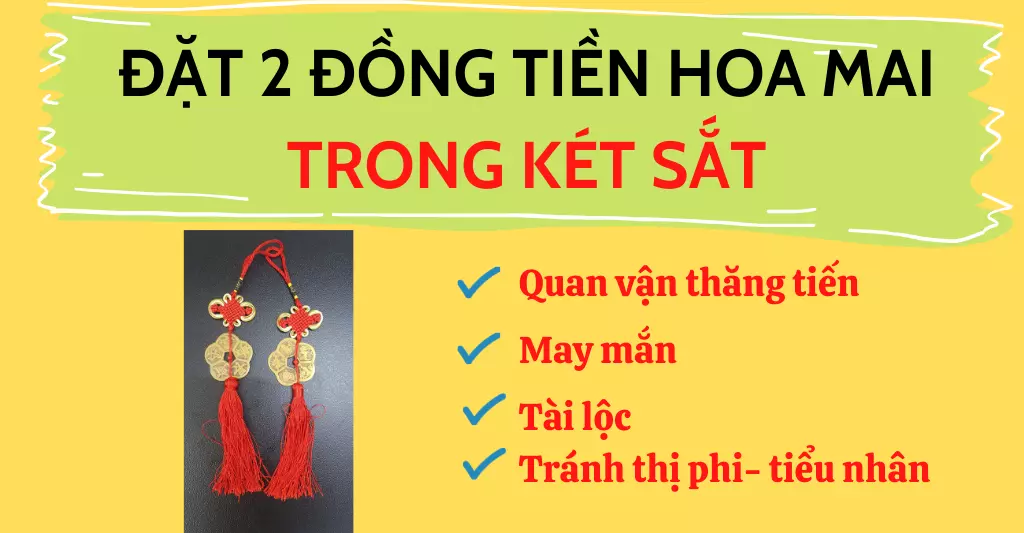 Cách khai quang tiền hoa mai trước khi sử dụng