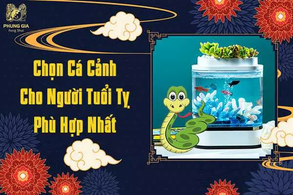 Chọn Cá Cảnh Phù Hợp Cho Ngượi Tuổi Tý