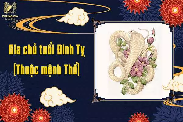 Gia Chủ Tuổi Đinh Tỵ