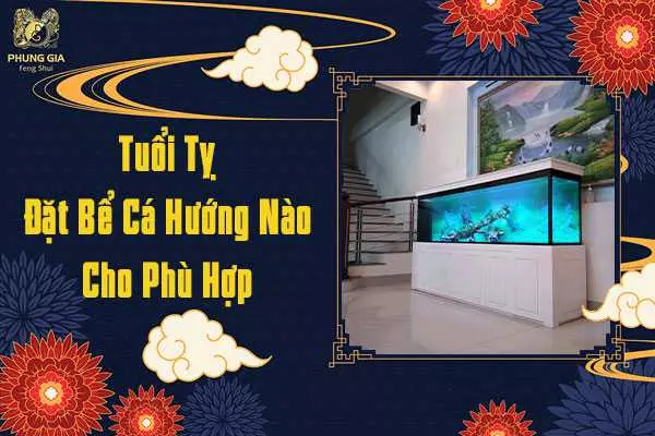 Tuổi Tỵ Đặt Bế Cá Hướng Nào Hợp