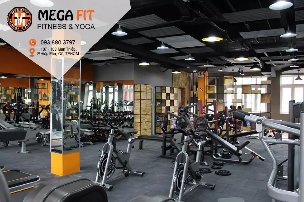 MegaFit Fitness & Yoga