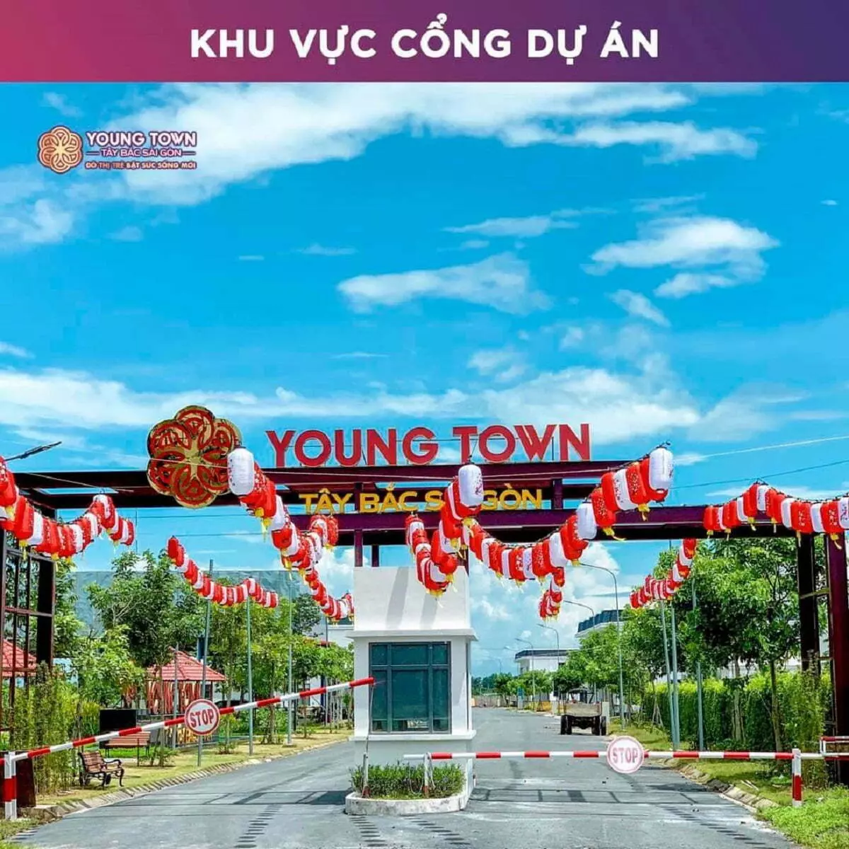 Chương trình mở bán tháng 6 của dự án Young Town Tây Bắc Sài Gòn