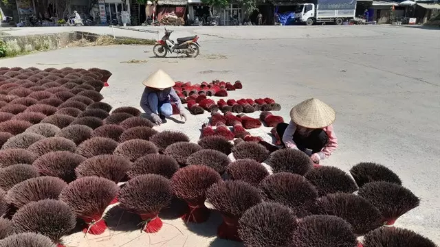 Bunches of bamboo sticks are dried in Quảng Phú Cầu Village.