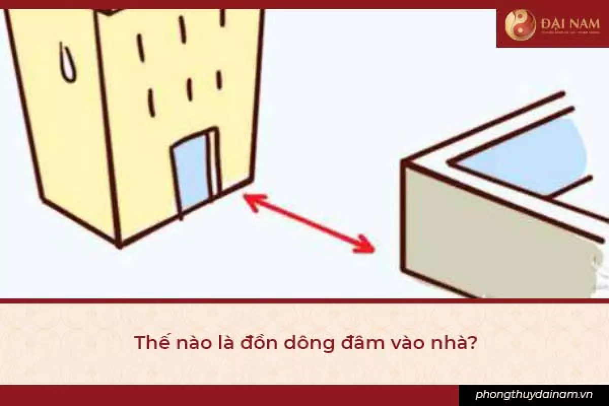 1 the nao la don dong dam vao nha