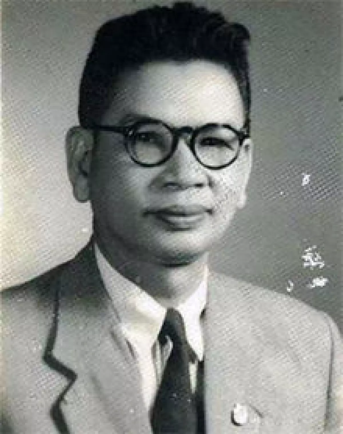 Trần Huy Liệu