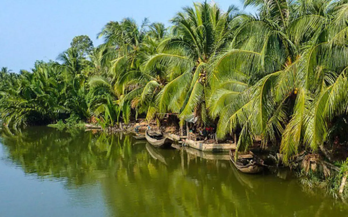 Cảnh Bến Tre bình yên