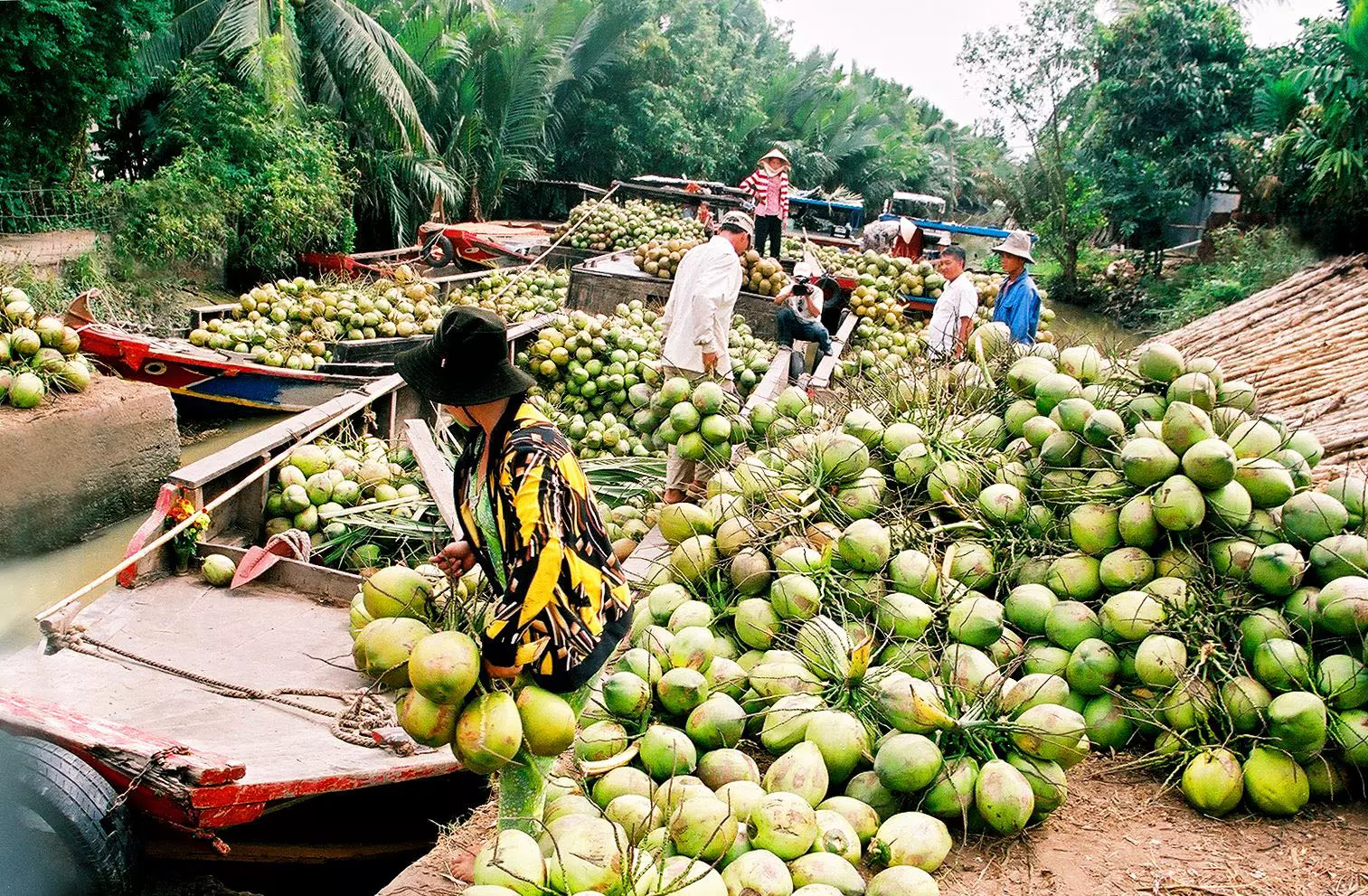 Hình ảnh không thể thiếu khi về với Bến Tre