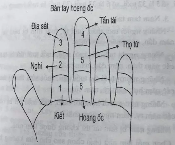 Cách tính tuổi phạm Hoang ốc dựa vào hình bàn tay với 6 cung