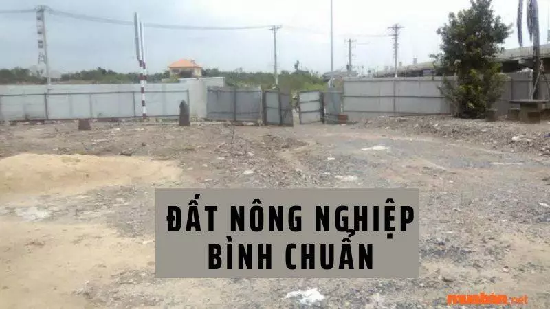 Đất nông nghiệp và kho bãi Bình Chuẩn