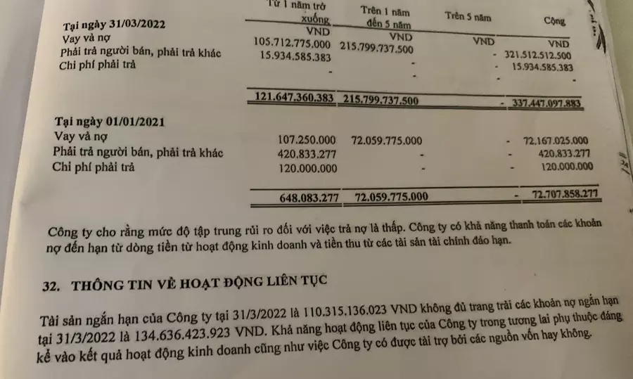 Các khoản vay của MeeyLand.