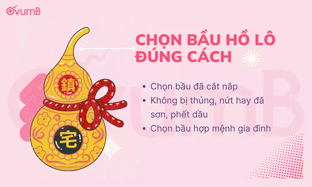 Chọn bầu hồ lô là bước quan trọng trong cách treo bầu hồ lô cầu con