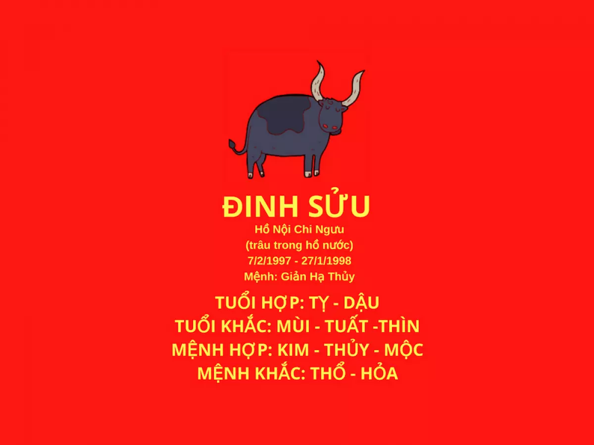 hinh anh tuoi dinh suu hop huong nao huong dan cach bo tri chi tiet so 1