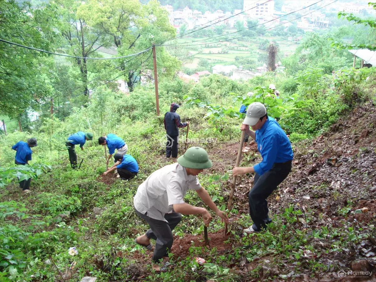 Chuyển mục đích sử dụng đất là gì?