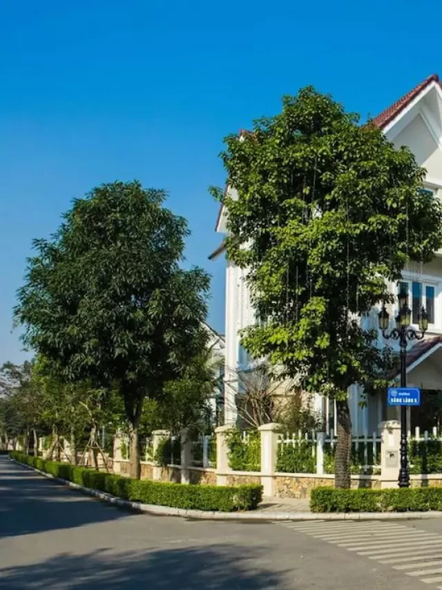   Biệt thự Vinhomes Riverside: Điểm đến số 1 của giới thượng lưu