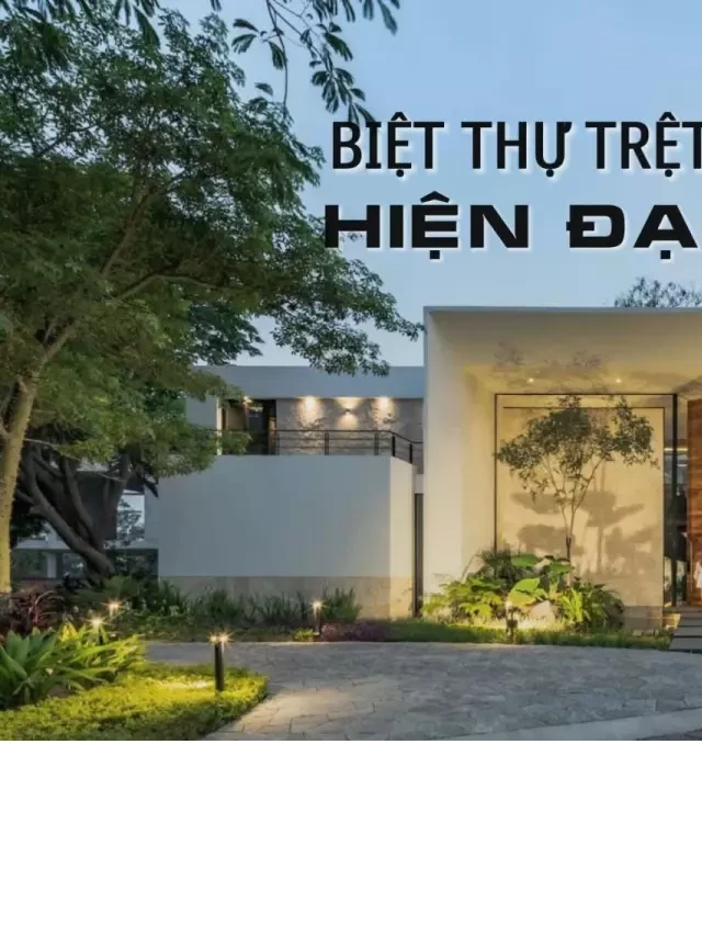   35 Mẫu biệt thự trệt hiện đại sân vườn đẹp ngất ngây