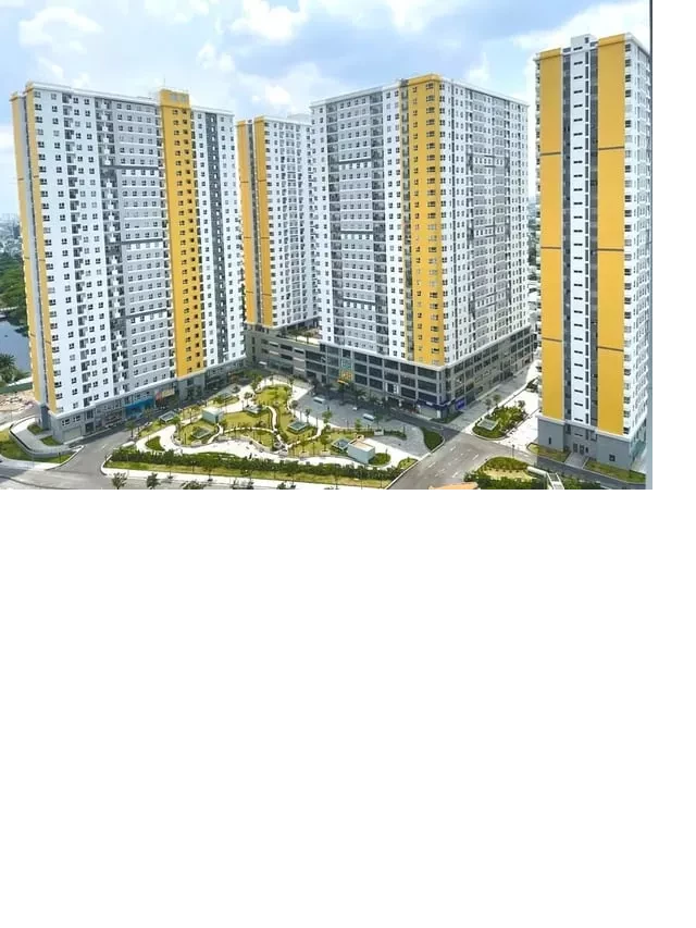   Căn hộ chung cư dự án Diamond Riverside - Giá bao nhiêu 1m2?