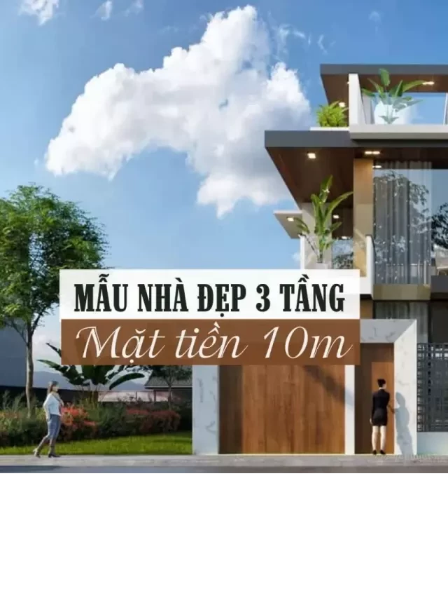   Mẫu Nhà Đẹp 3 Tầng Mặt Tiền 10m: Thiết Kế Đẹp và Tiết Kiệm Chi Phí