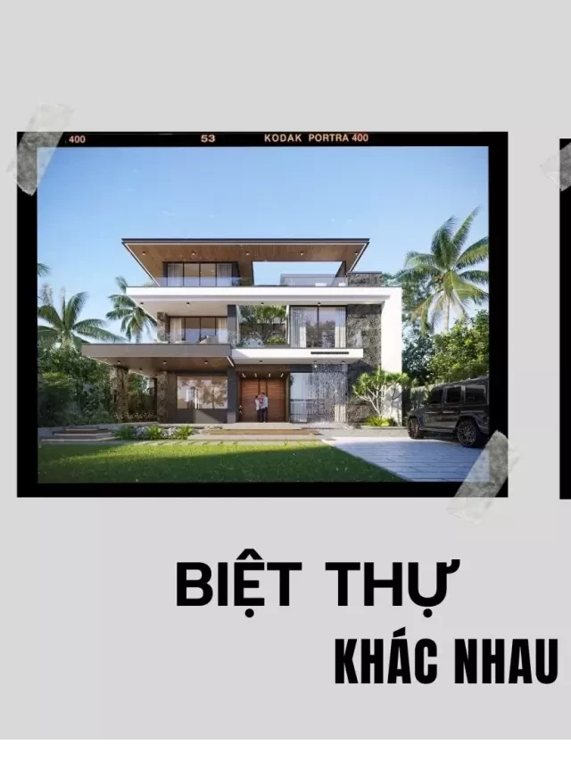   Biệt thự và dinh thự: Sự khác biệt và xu hướng thiết kế hiện nay