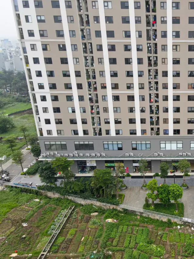   Dự án IEC Residences Tứ Hiệp: Những tiện ích đẳng cấp trong lòng thành phố