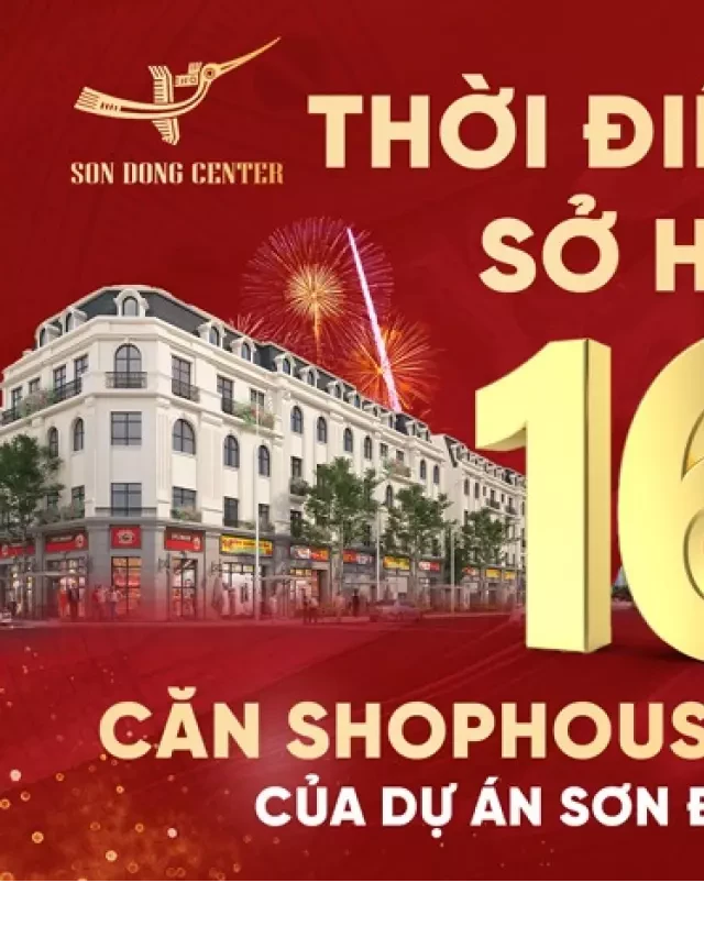   Thời điểm vàng sở hữu 16 căn shophouse cuối cùng của dự án Sơn Đồng Center