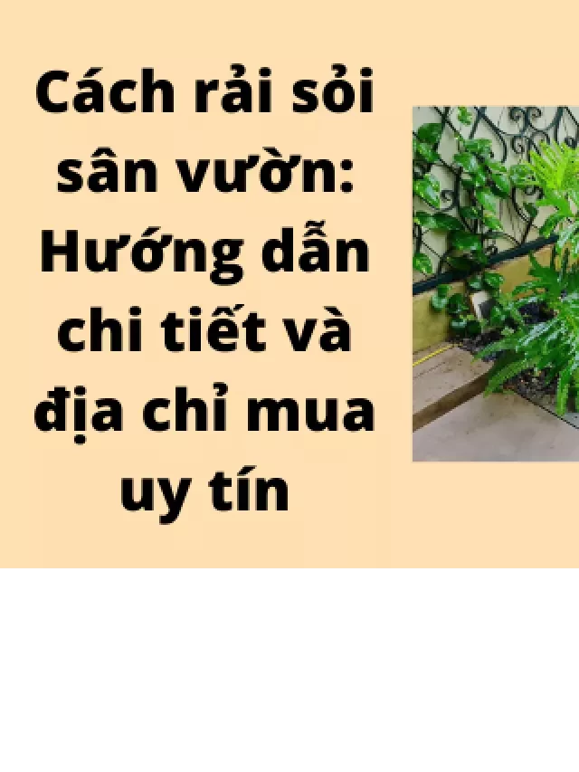   Cách rải sỏi sân vườn: Hướng dẫn chi tiết và địa chỉ mua uy tín