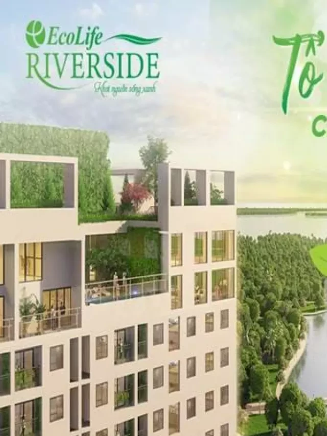   Những lý do hấp dẫn để đầu tư chung cư EcoLife Riverside Quy Nhơn