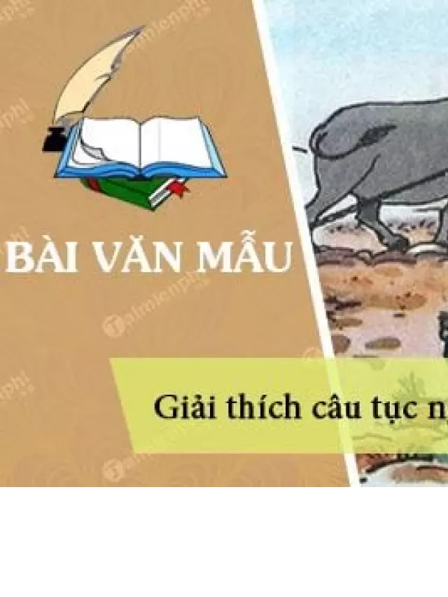   Giải thích câu tục ngữ Tấc đất tấc vàng: Một cái nhìn sâu sắc về giá trị của đất đai