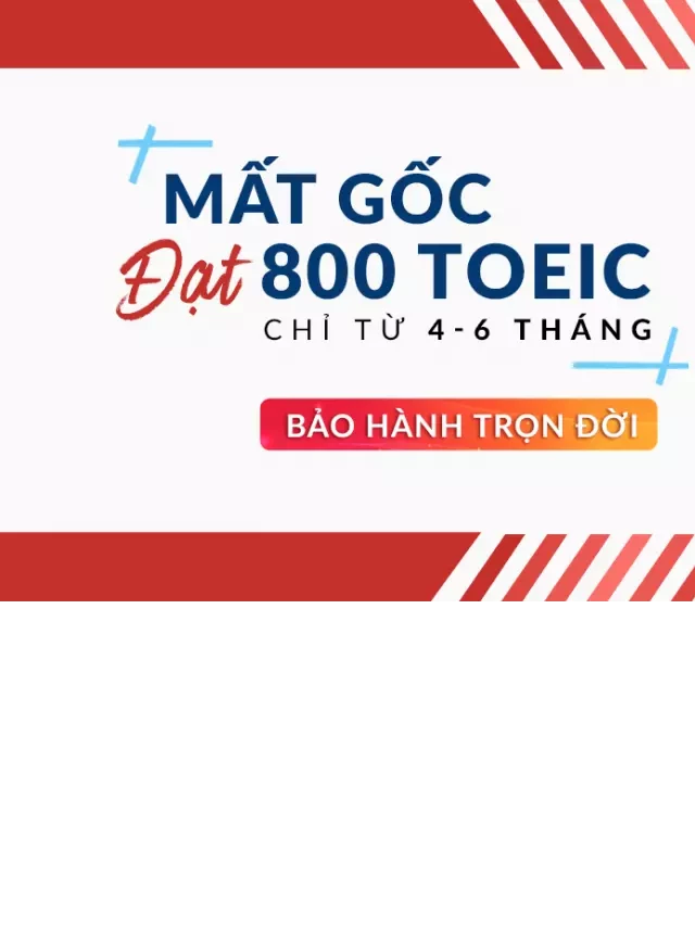   Thông tin địa chỉ Trung Tâm Anh Ngữ Ms. Hoa TOEIC Hà Nội