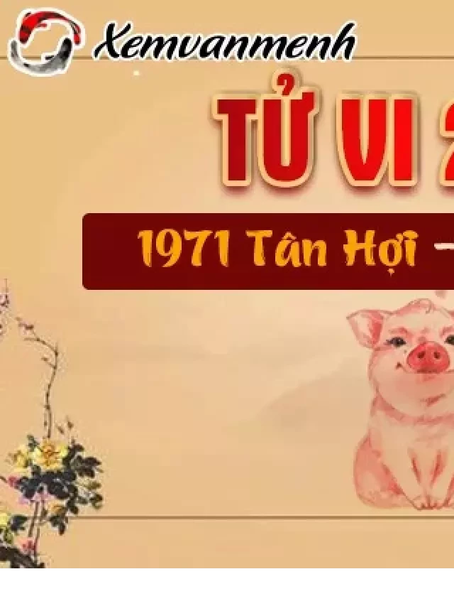   Xem tử vi nam mạng tuổi Tân Hợi 1971 năm 2020