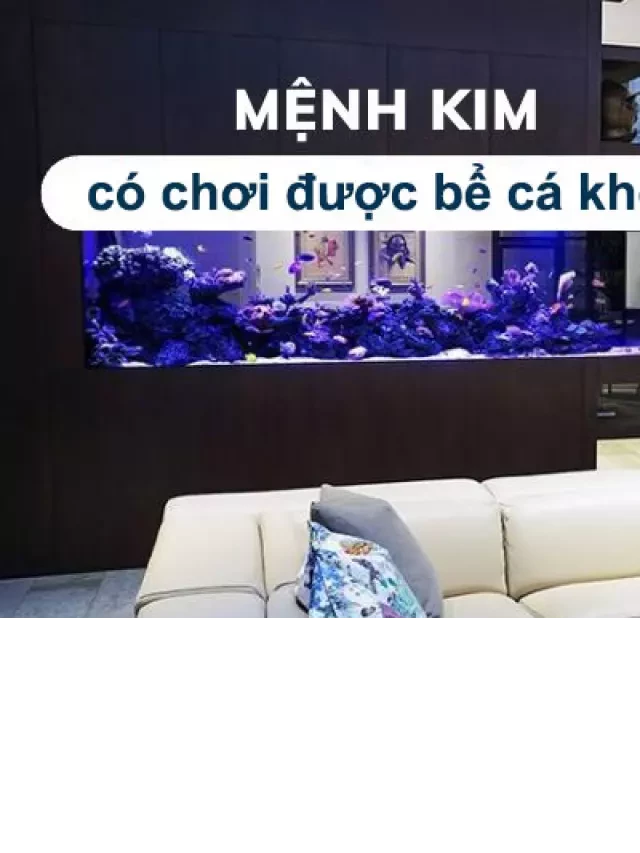   Người mệnh kim có chơi được bể cá không?