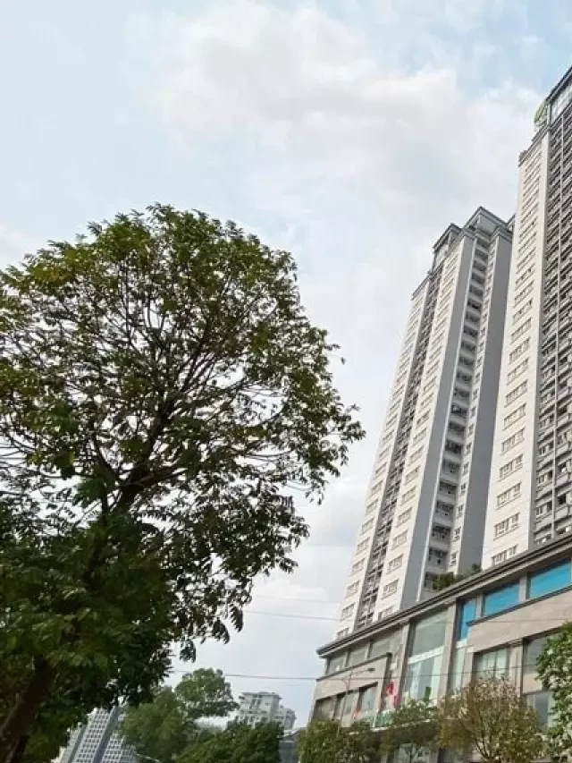   Green Park Tower: Sự Lựa Chọn Tuyệt Vời Cho Văn Phòng ở Quận Cầu Giấy