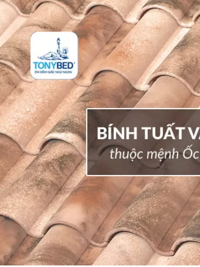   Ốc Thượng Thổ: Mệnh đất vững vàng, tài lộc dồi dào