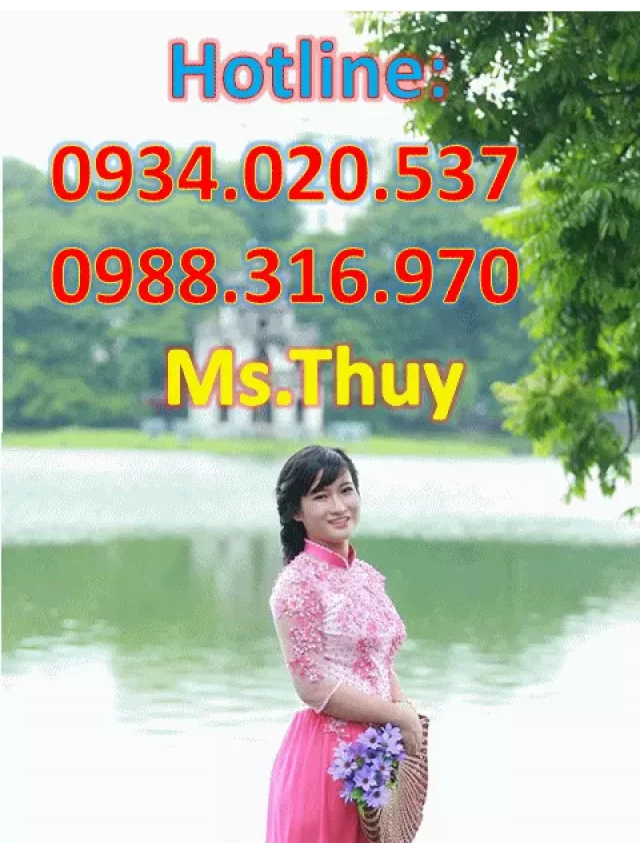   Bán Đất Mỹ Phước 4: Tiềm năng đầu tư hấp dẫn tại Bình Dương