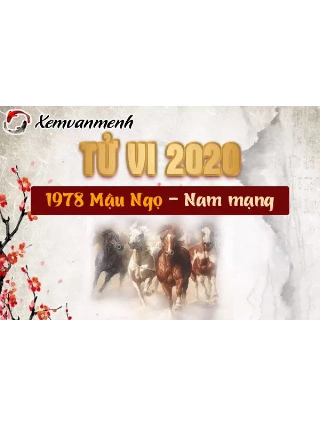   Xem tử vi 2020 tuổi Mậu Ngọ 1978 nam mạng: Những triển vọng và thách thức