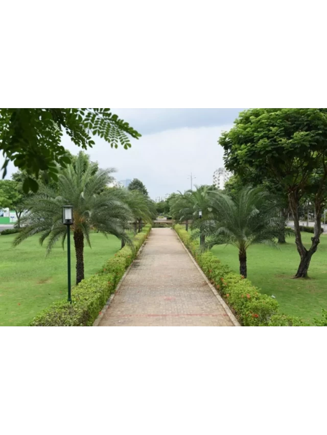   Khu công viên kiểu mẫu 20 tỷ đồng ở phía Nam TP HCM - Một ngôi công viên tuyệt vời tại khu đô thị Phú Mỹ Hưng